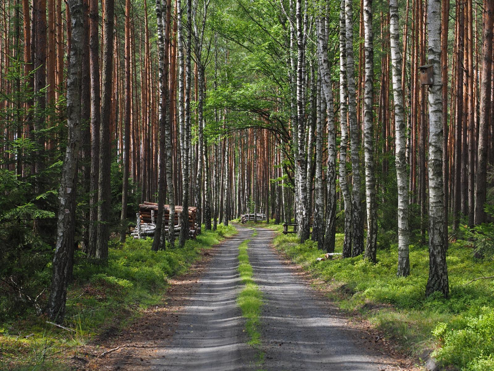 Stobrawski Park Krajobrazowy