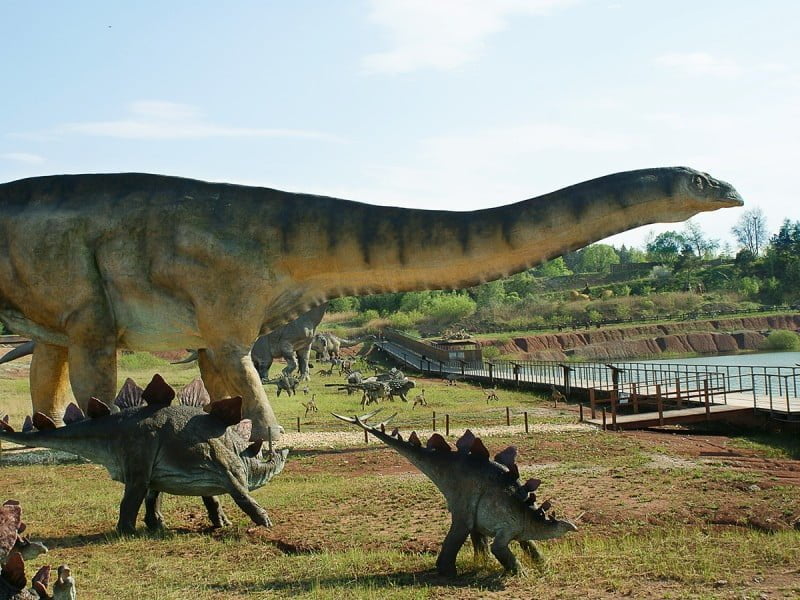 dinozaury krasiejów