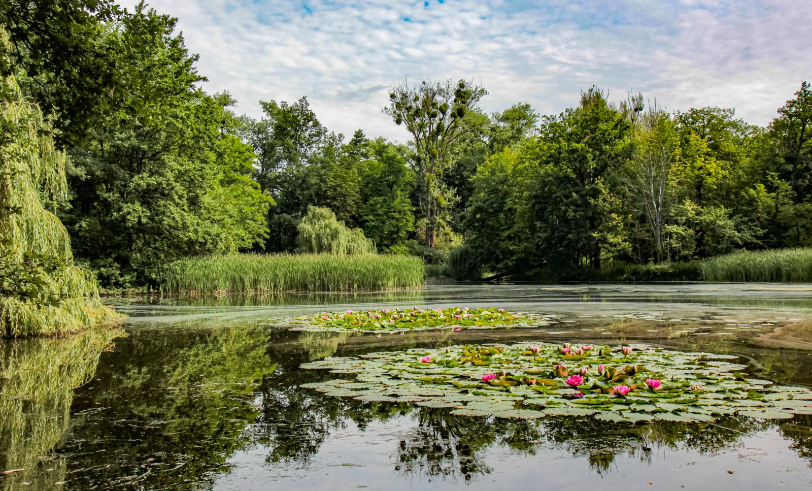 Wyspa Bolko, fot. A. Parkitna