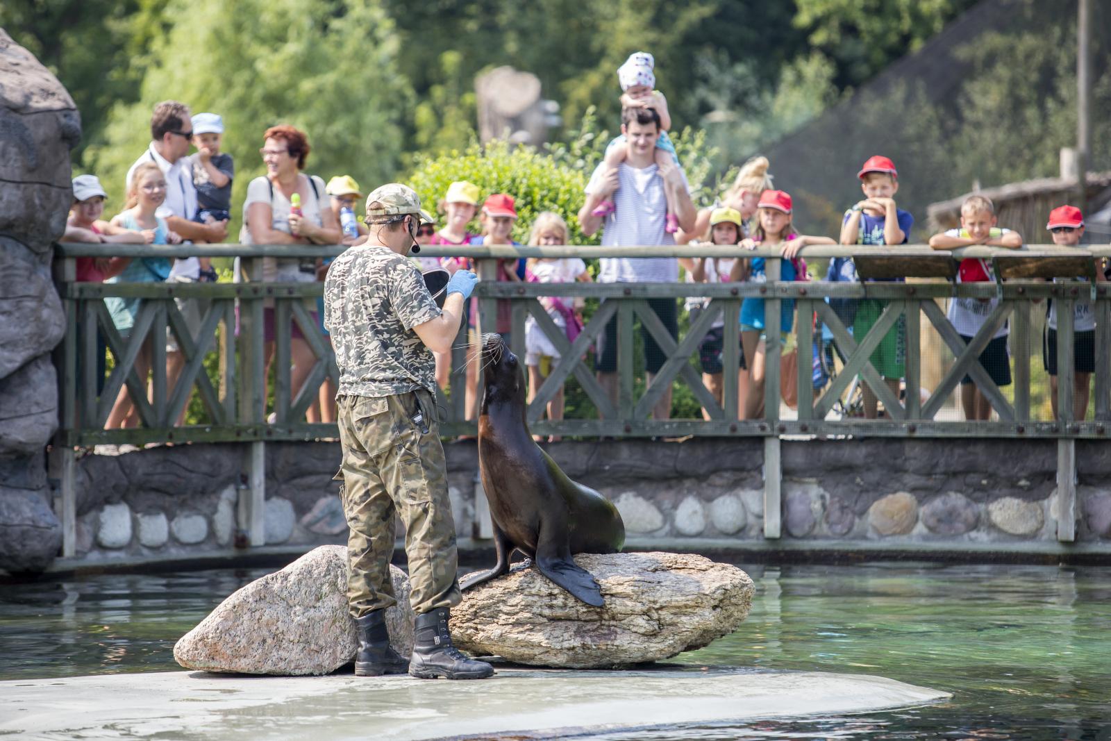 Karmienie uhcatek, fot. Jarosław Małkowski