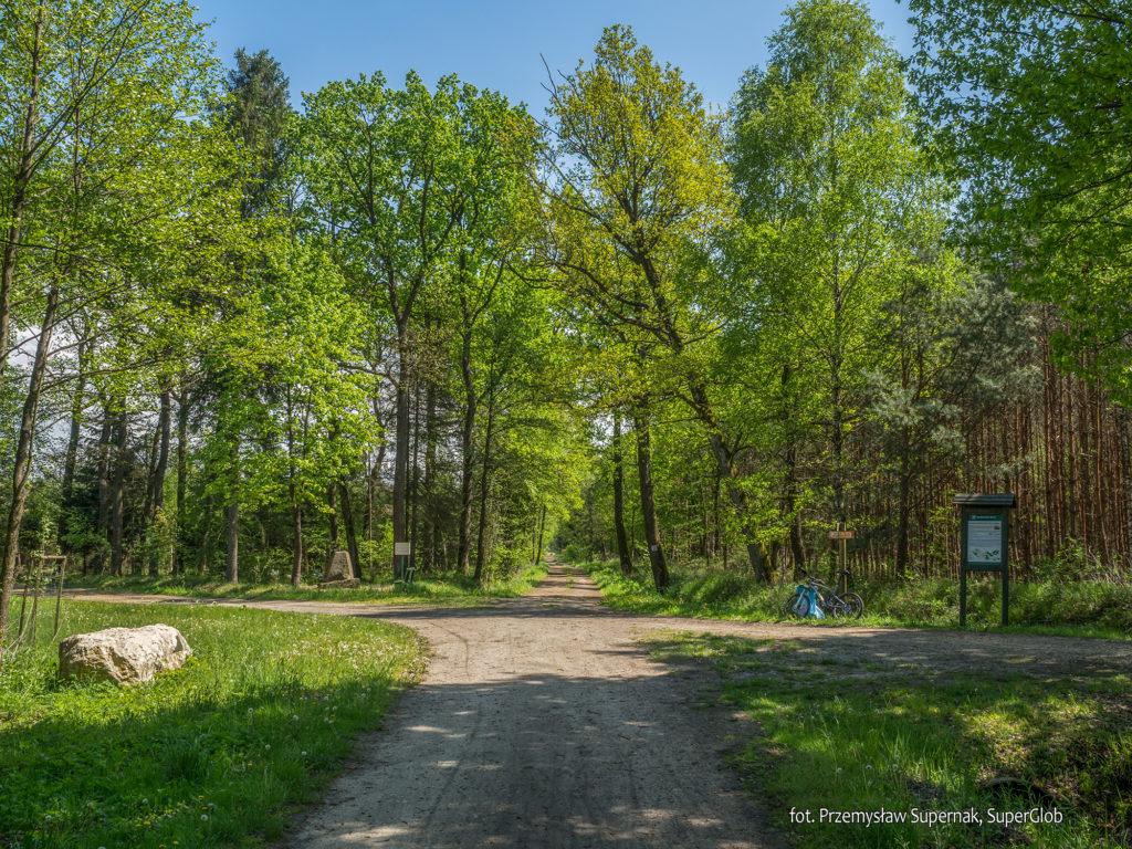 szlak rowerowy