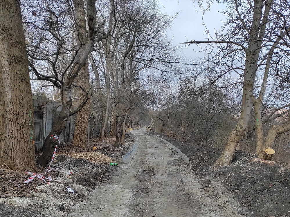 Prace budowlane kamionka Piast