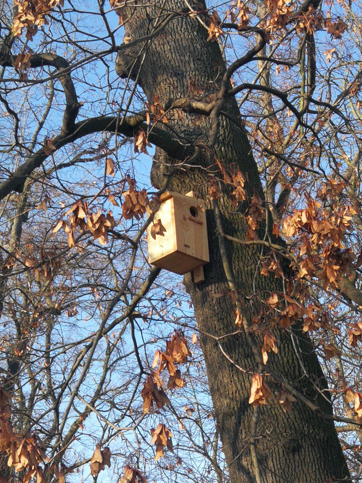 Budka dla wiewiórek