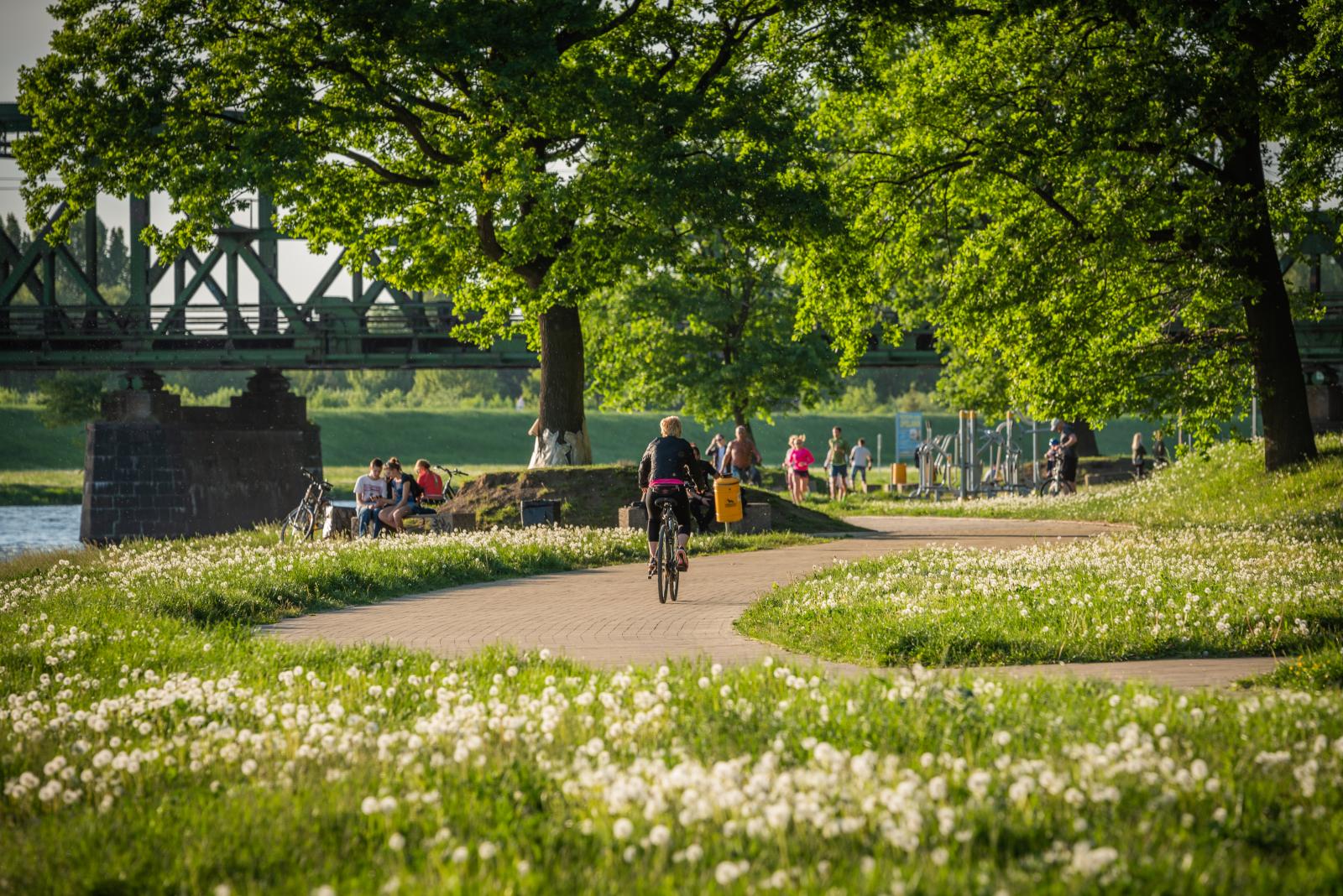 Bulwary, fot. P. Szpala