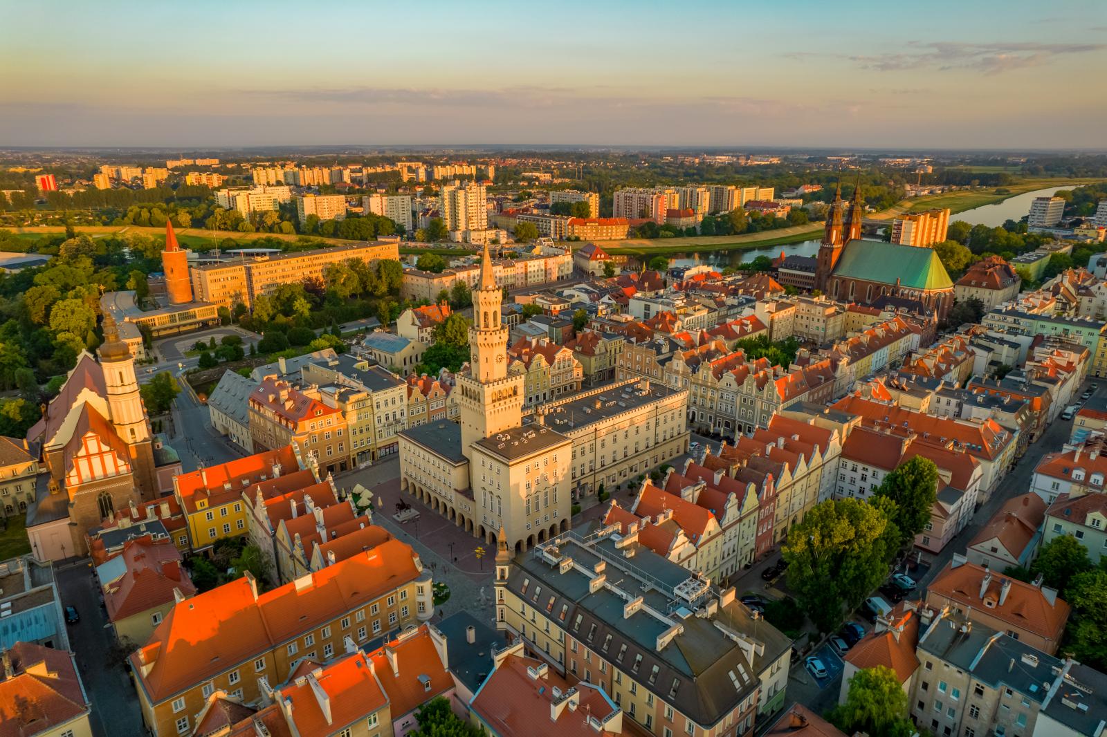 noram, fot. J. Małkowski