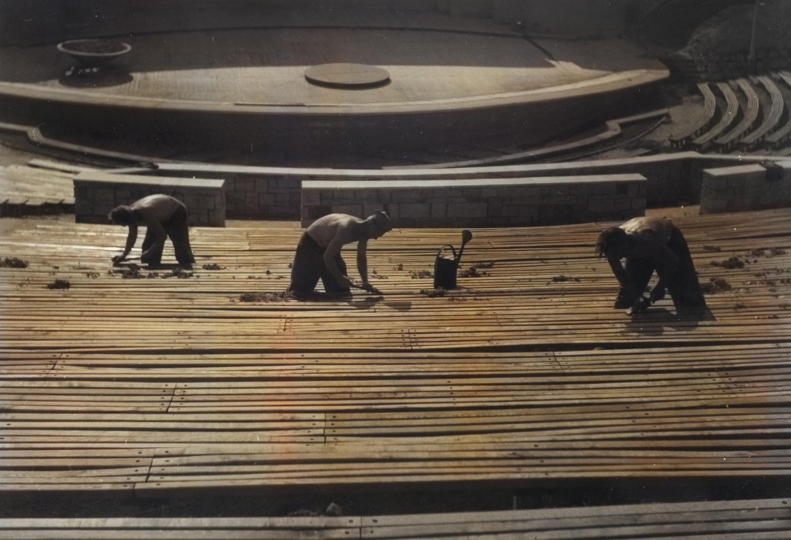 Fot. Tadeusz Horoszkiewicz/ archiwum MPP w Opolu