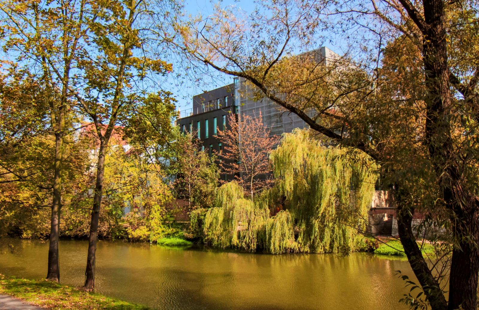 budynek MBP, jesień