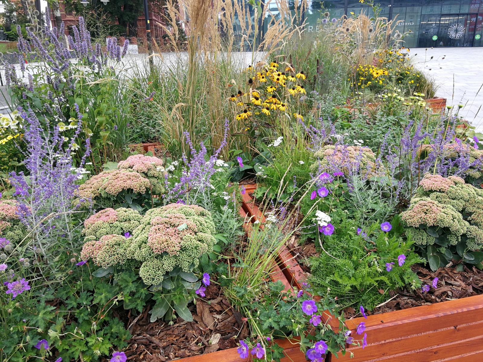 Mobilne łąki kwietne