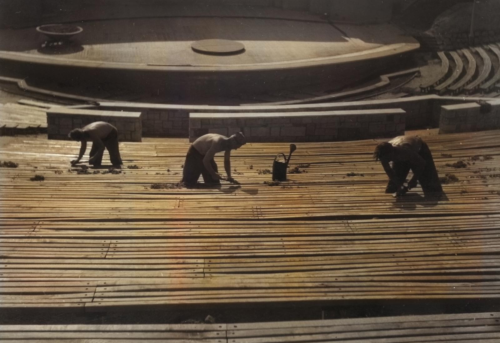 Prace budowlane, fot. Tadeusz Horoszkiewicz