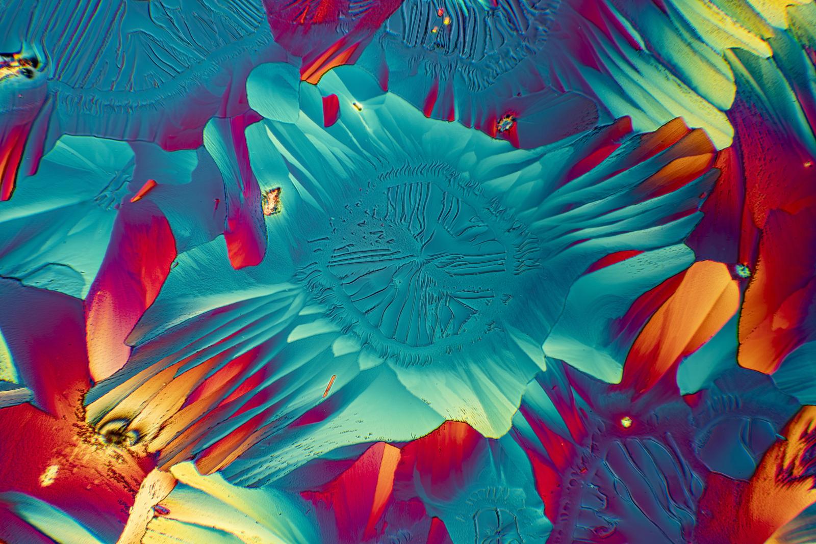 Fot. Jarosław Małkowski