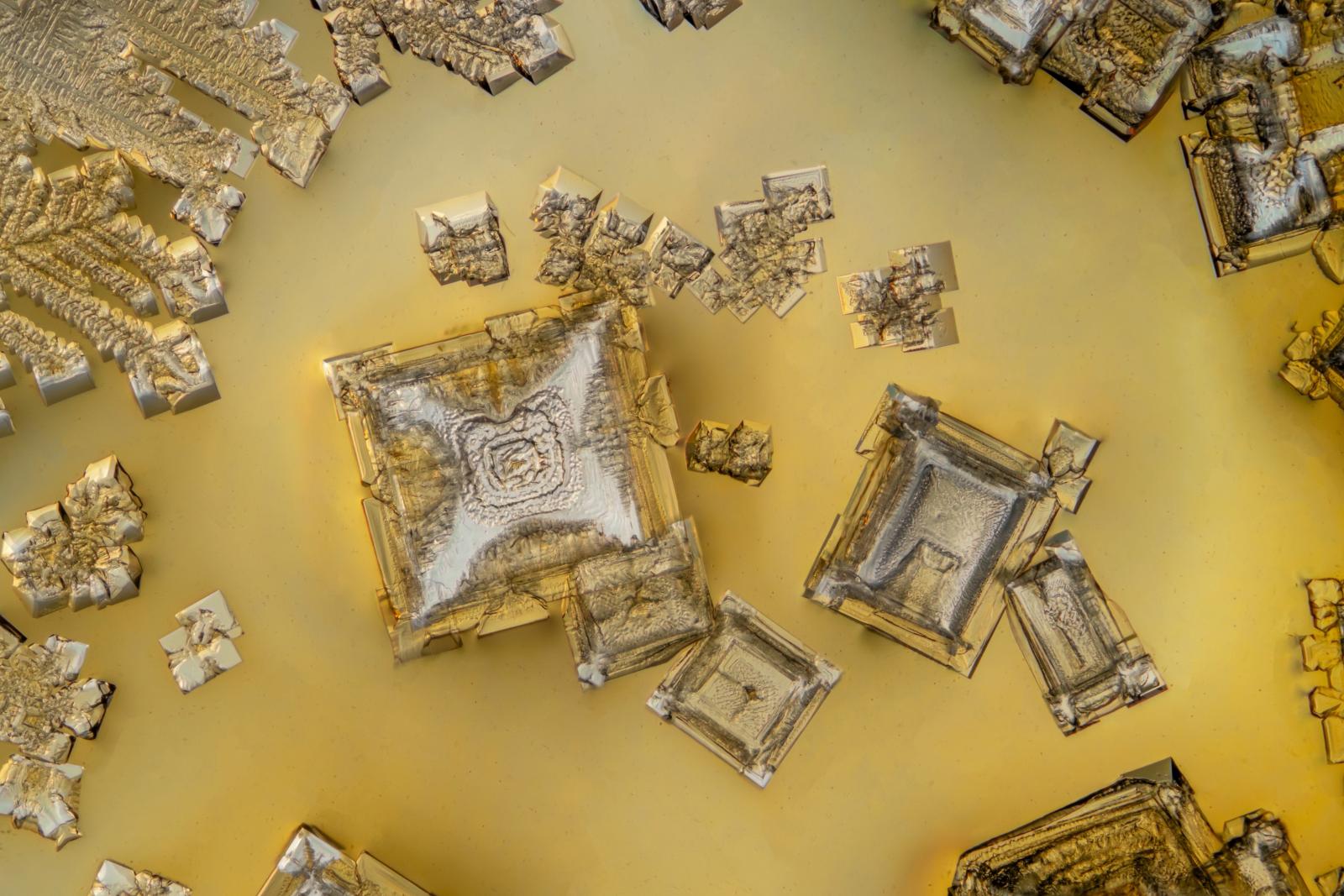 fot. Jarosław Małkowski