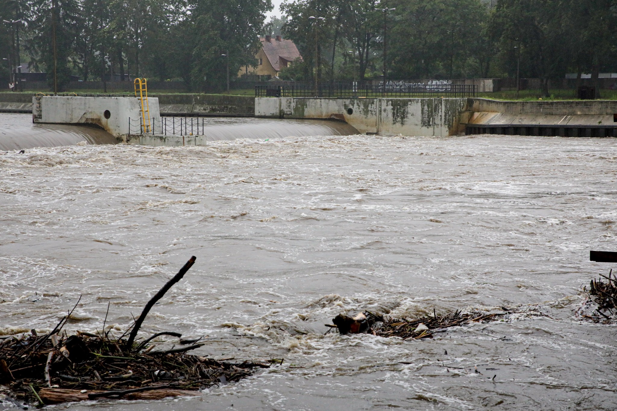 Odra - zdjęcie rzeki