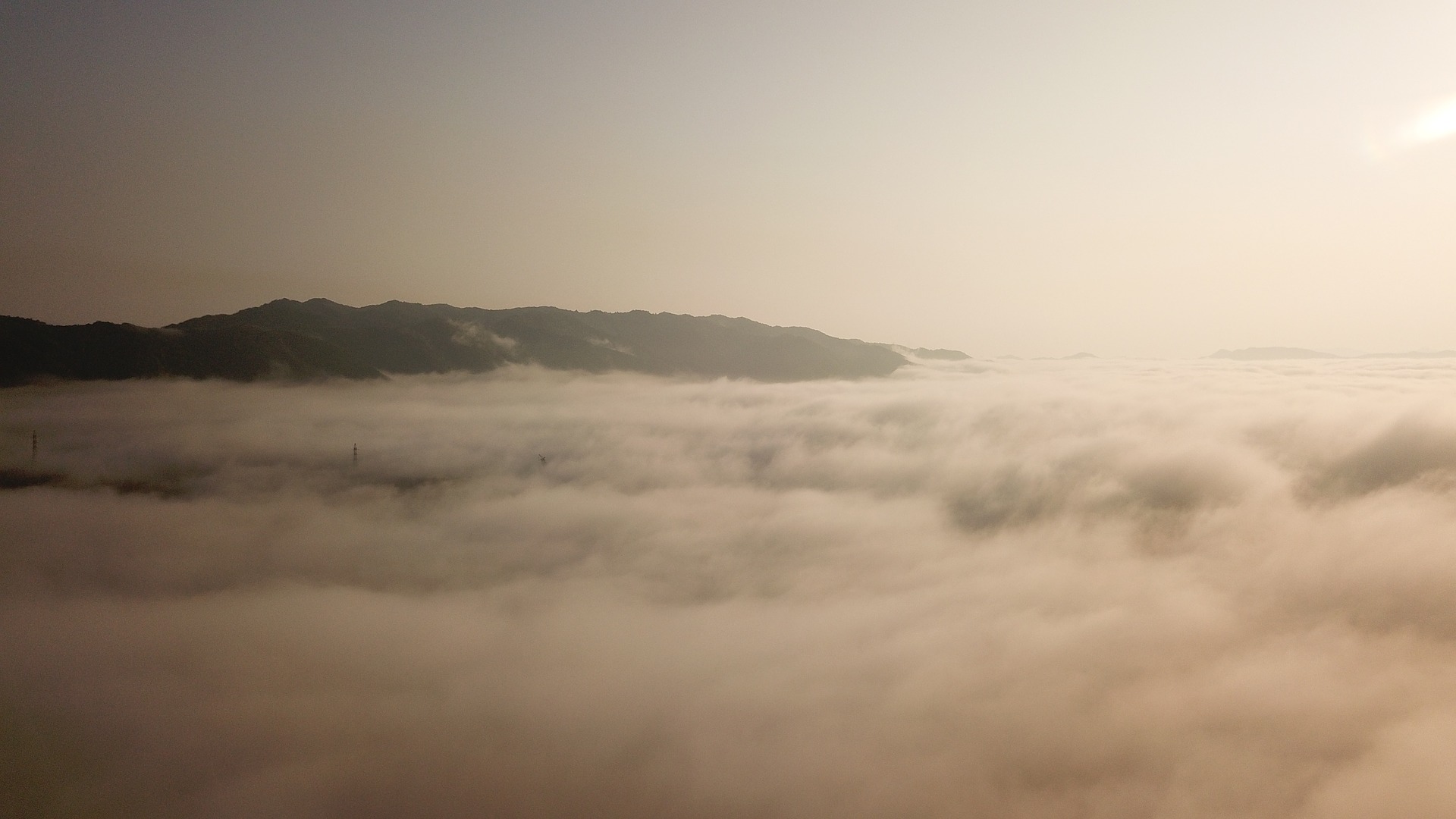 Zdjęcie przedstawia mgłę