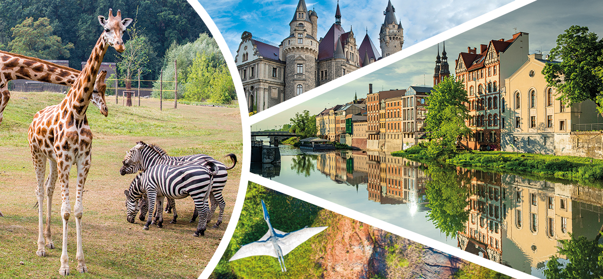 Atrakcje Opola w okolic