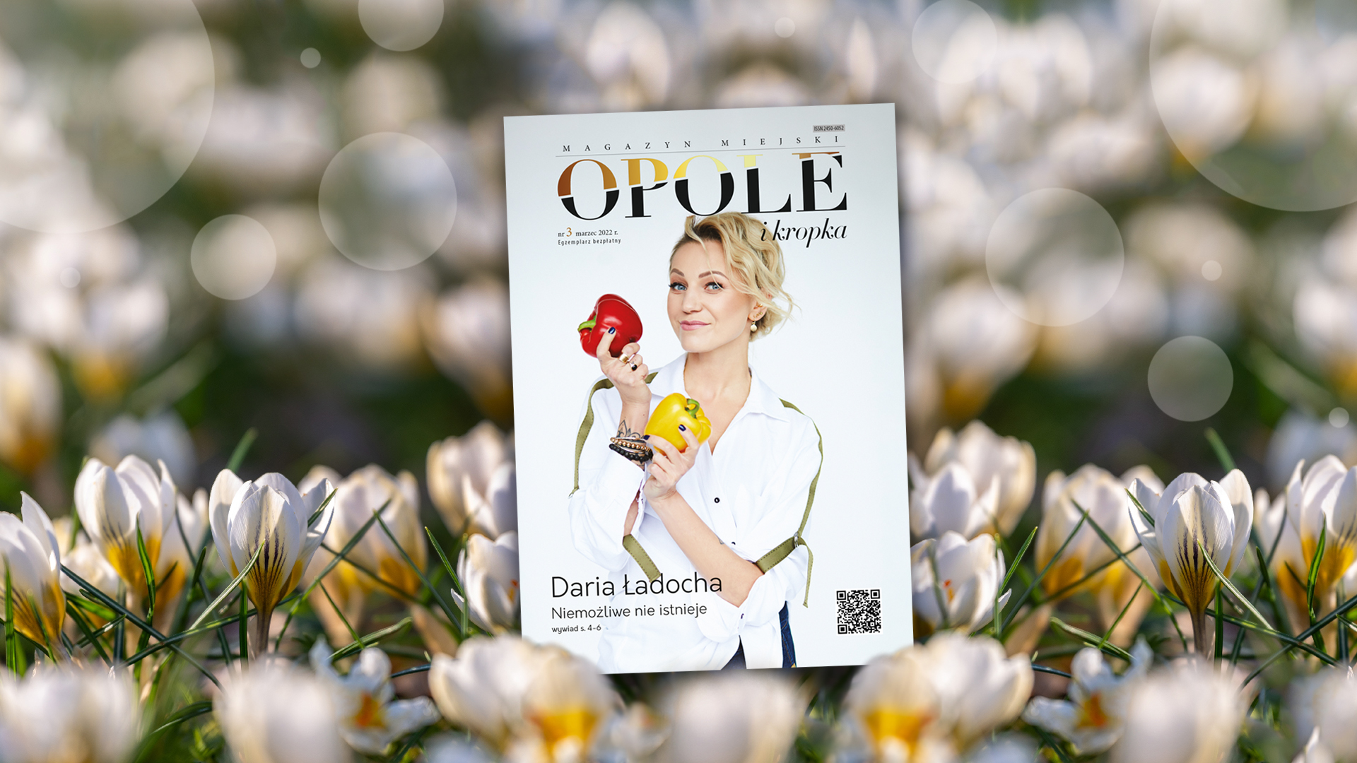 Baner Opole i kropka