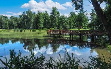 Staw w Chróścinie Opolskiej 