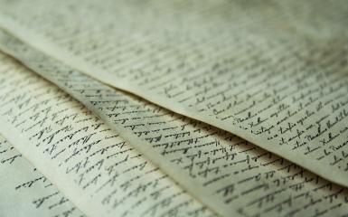 Statut i Regulamin Urzędu Miasta Opola