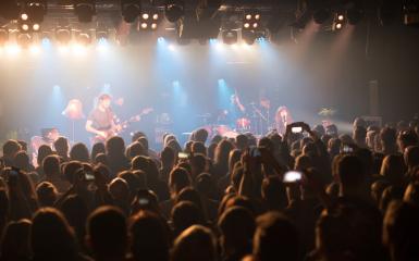 KWIAT JABŁONI fot. Roman Rogalski