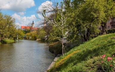 Kanał Młynówka, fot. A. Parkitna