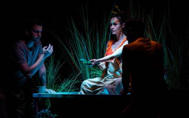 „Miejskie Ziółka”