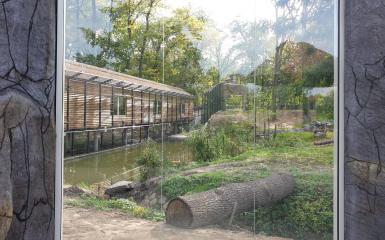 Zoo Opole, schronisko dla lwów i tygrysów