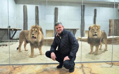 Zoo Opole, schronisko dla lwów i tygrysów