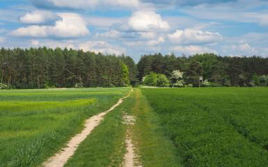 Szlak rowerowy przed Kamieniem Śląskim