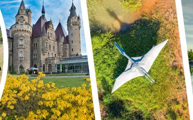 Atrakcje Opola i okolic