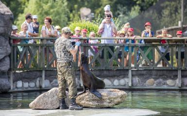 Rekordowy rok opolskiego zoo!