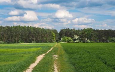 Szlak rowerowy przed Kamieniem Śląskim