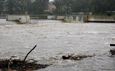 Odra - zdjęcie rzeki