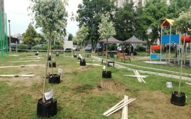 Nasadzenia drzew i krzewów na terenie rekreacyjno–wypoczynkowym przy ul. Prószkowskiej w Opolu.