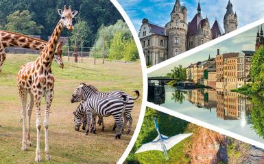 Atrakcje Opola w okolic