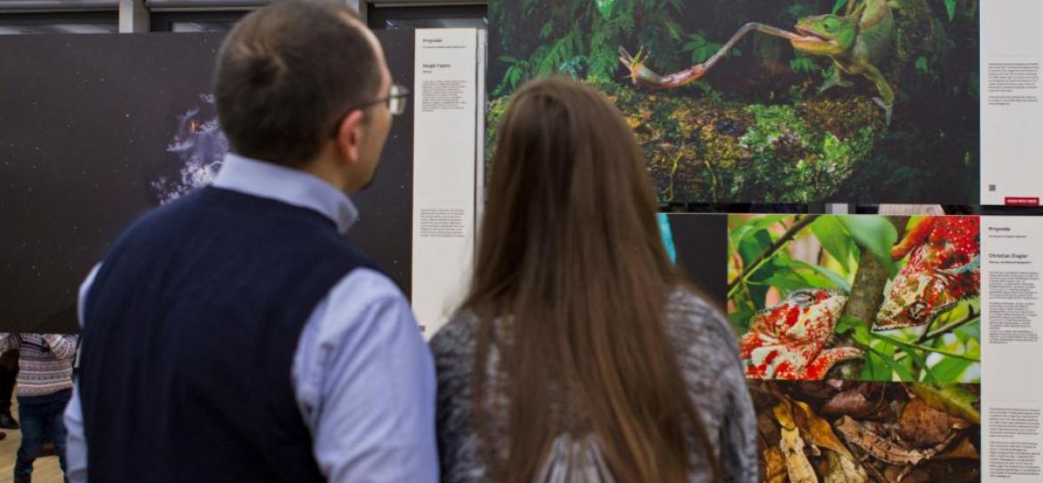 ludzie w galerii sztuki współczesnej