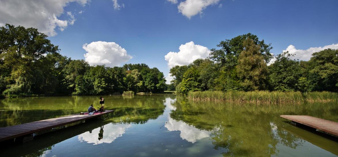 Widok na staw na Wyspie Bolko