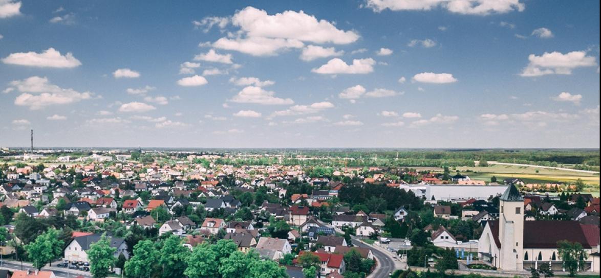 Dzielnica VI Grudzice, Kolonia Gosławicka, Malina