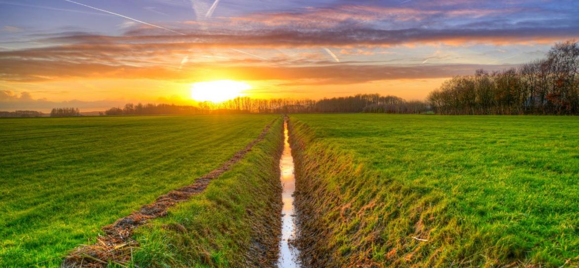 Rów rozdzielający dwa pola uprawne