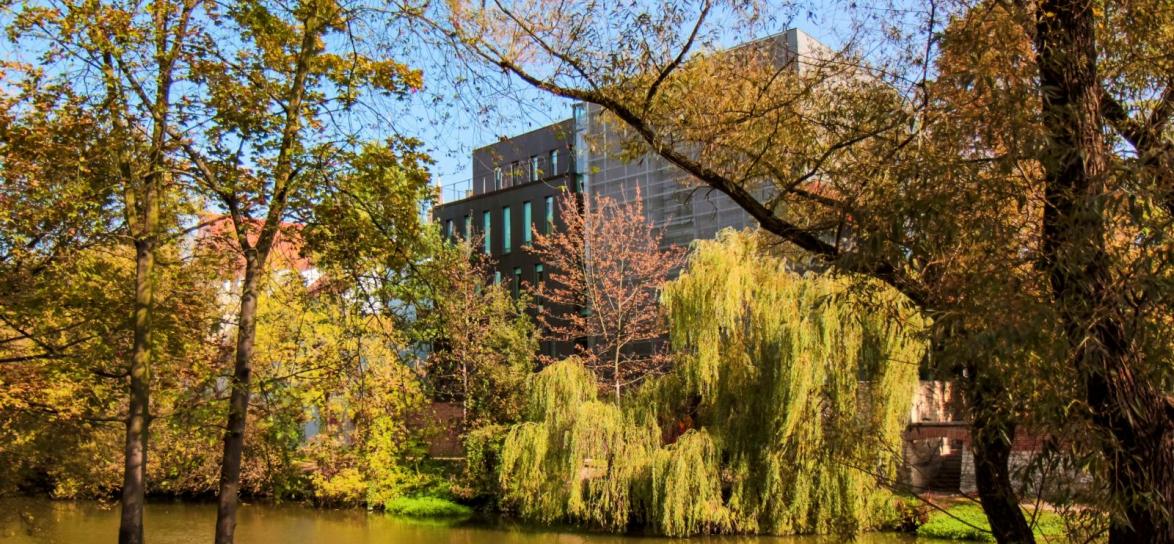 budynek MBP, jesień