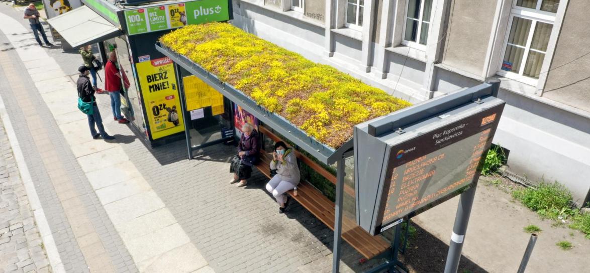 Zielony przystane, fot. W. Chojnacki