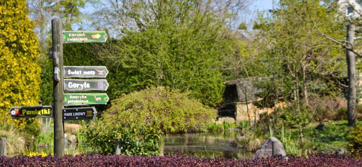 Zoo Opole. fot. Anna Parkitna