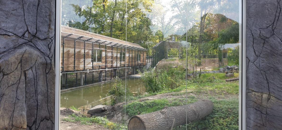 Zoo Opole, schronisko dla lwów i tygrysów