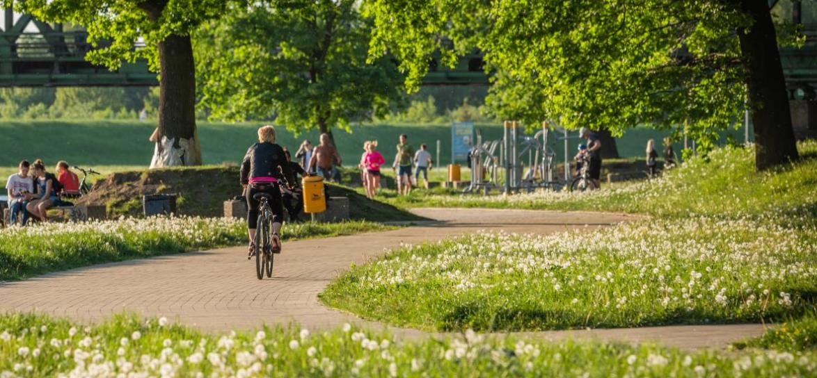 Park nadorzeński osoba na rowerze