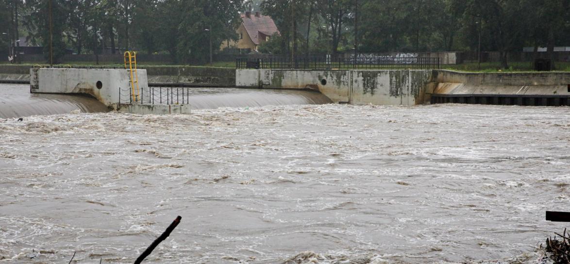 Odra - zdjęcie rzeki