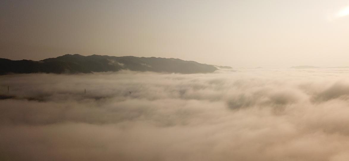 Zdjęcie przedstawia mgłę.