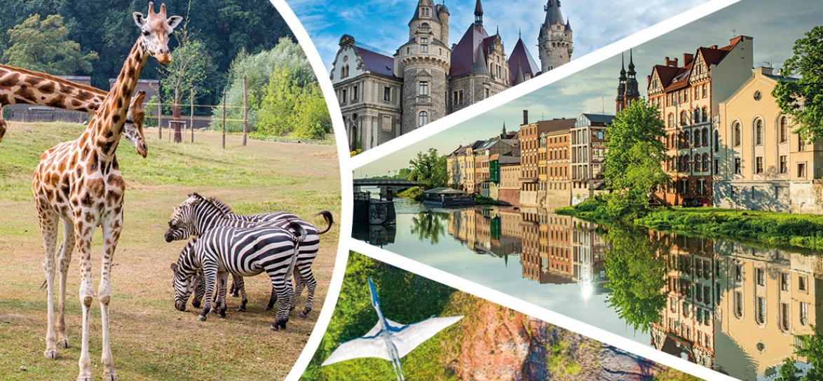 Atrakcje Opola w okolic