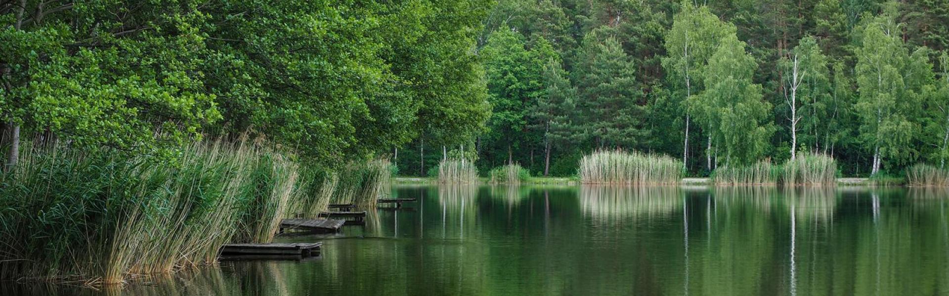 Ukryte zakątki Opola