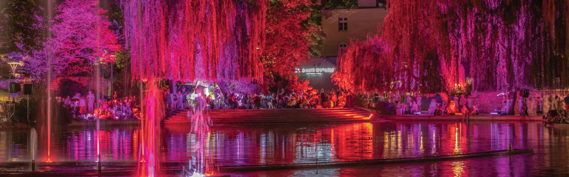 Staw zamkowy z grającą fontanną