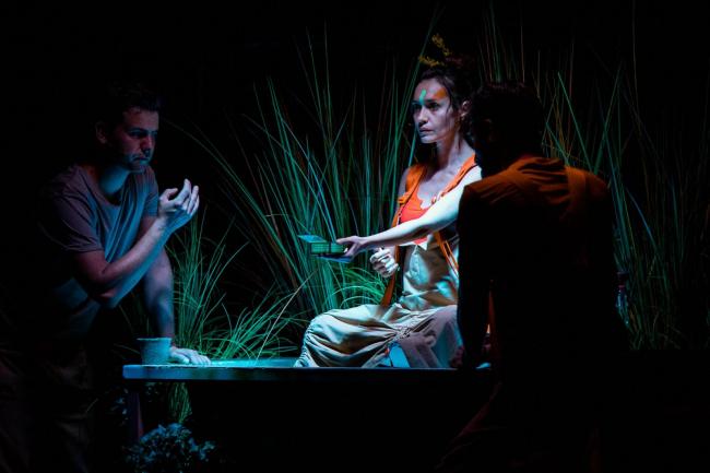 „Miejskie Ziółka”