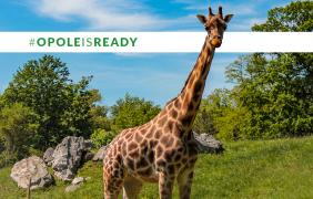 Opole is ready Opole is ready