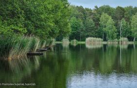 Opole-Brzezie, Staw Śródlesie II Opole-Brzezie, Staw Śródlesie II